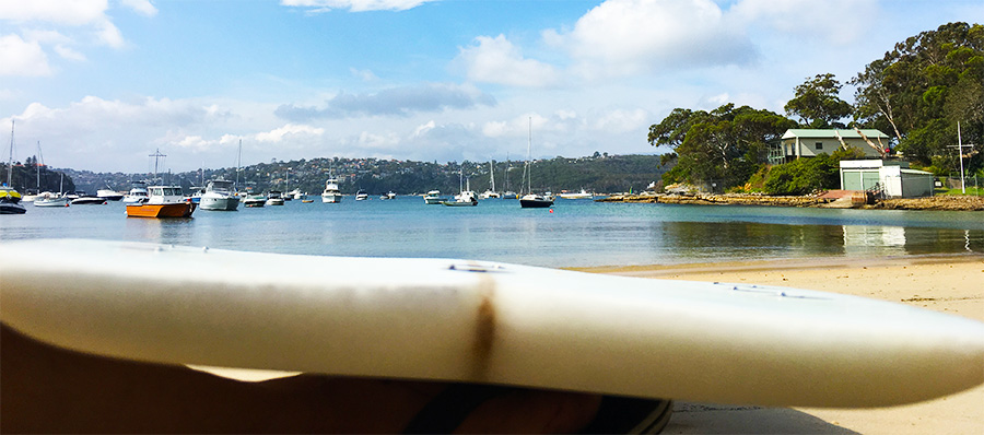 sx-fish-surfboard-contour