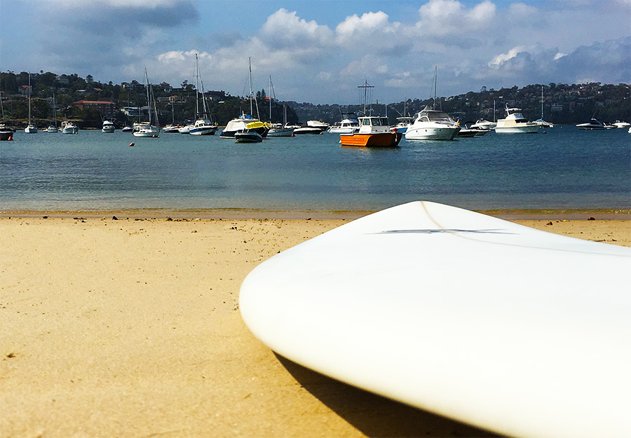 sx-fish-surfboard-rail